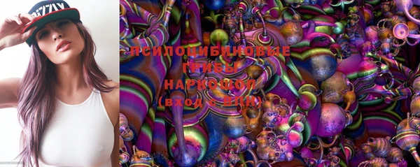 дурь Алексеевка