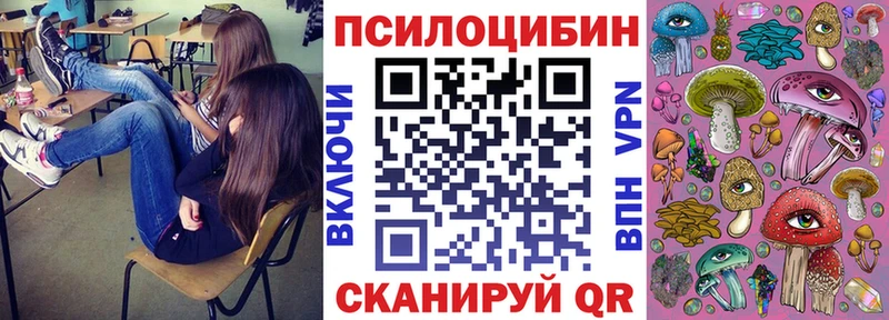 Галлюциногенные грибы Psilocybine cubensis даркнет Telegram Курлово МЕГА сайт